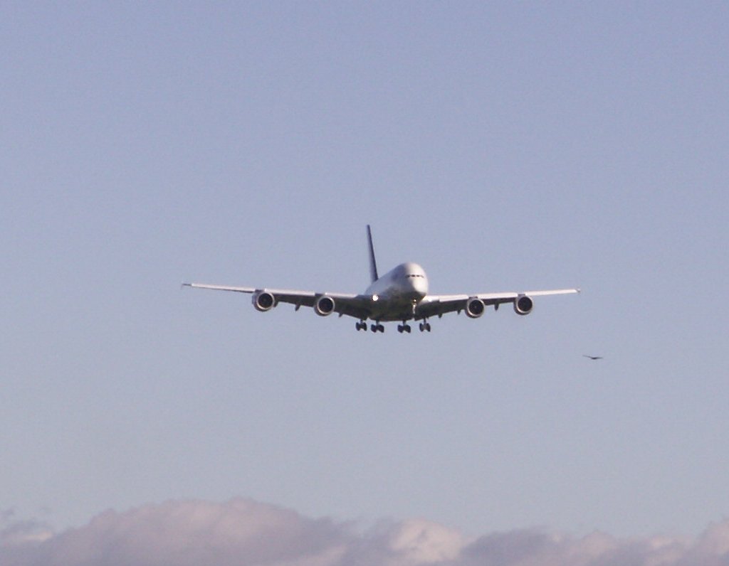 A380-1.jpg