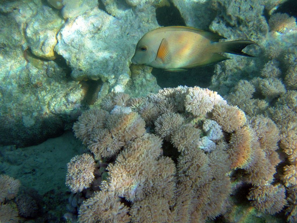 DSCF3703.JPG