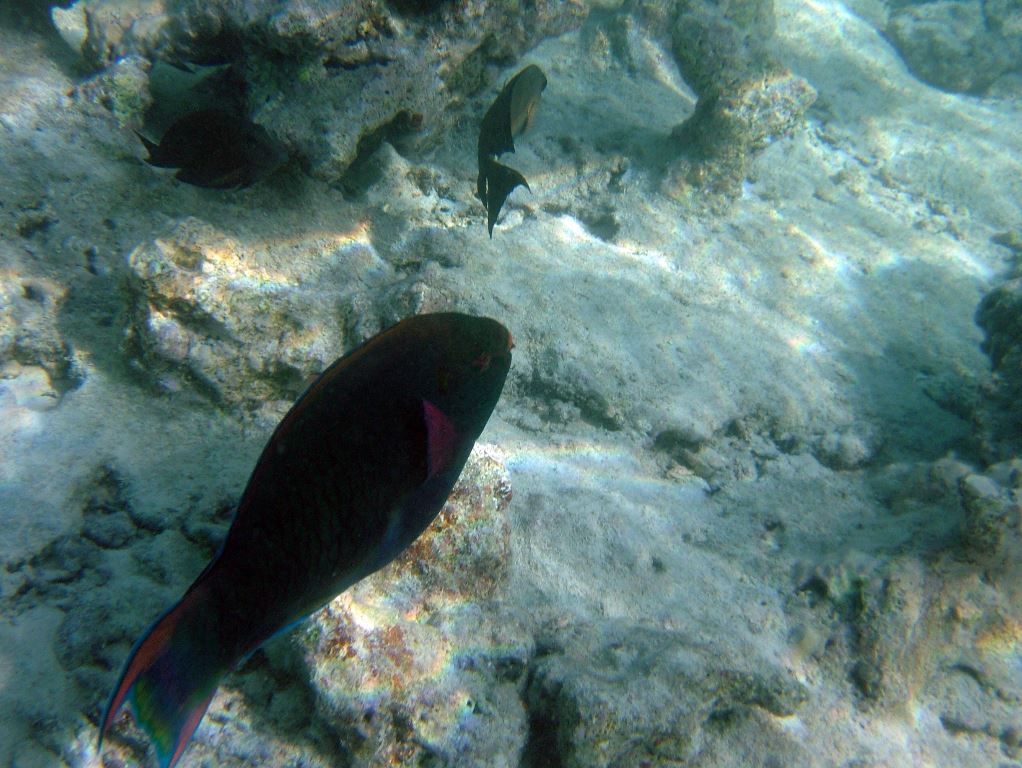 DSCF3707.JPG
