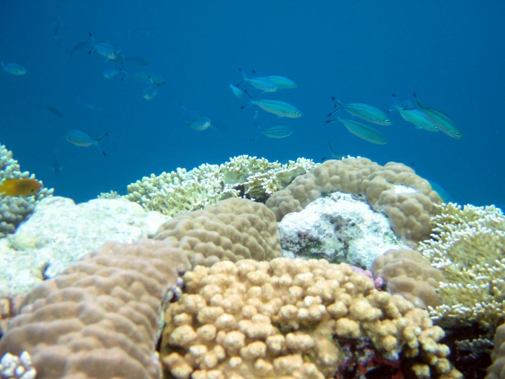 DSCF3728.JPG