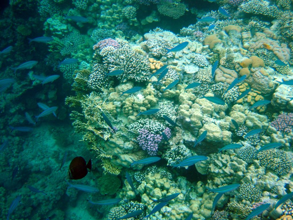 DSCF3745.JPG