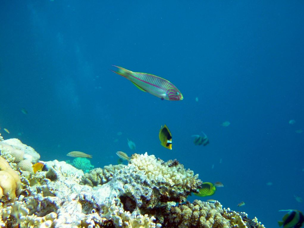 DSCF3814.JPG