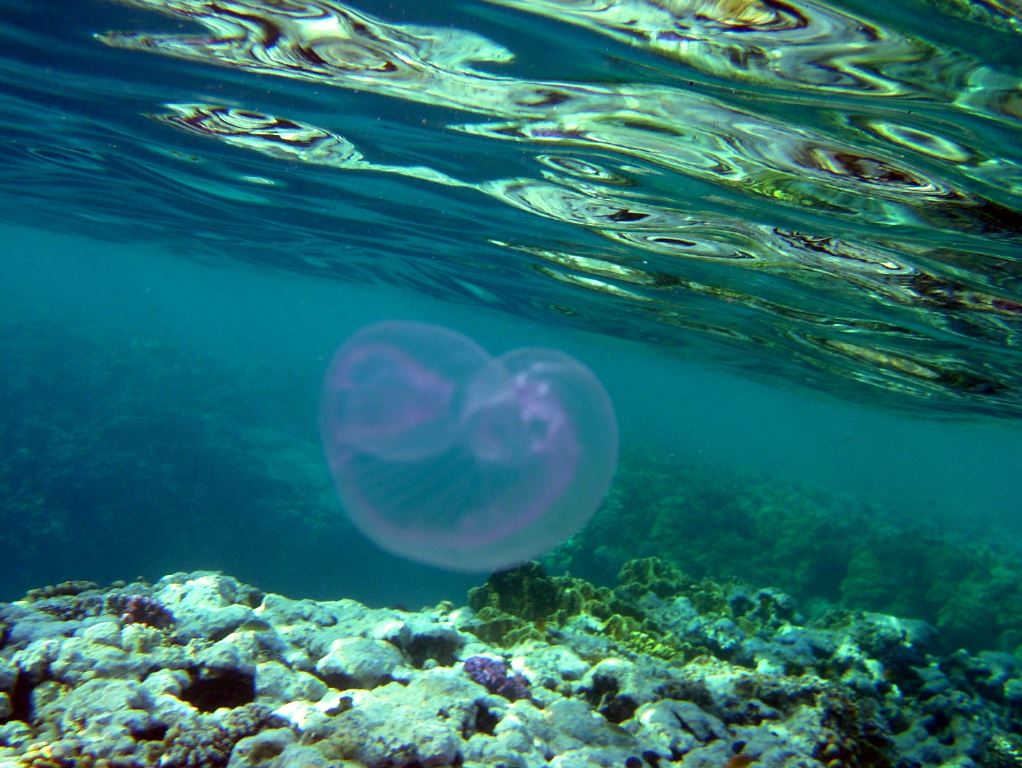 DSCF3922.JPG