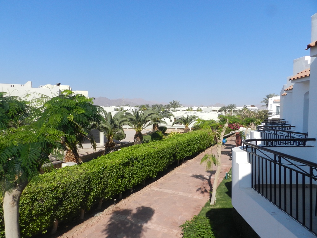 DSCN6826.JPG