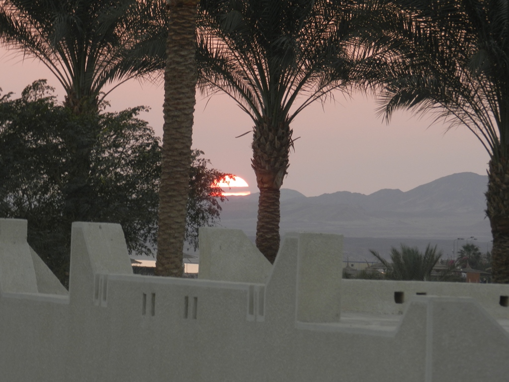 DSCN6835.JPG