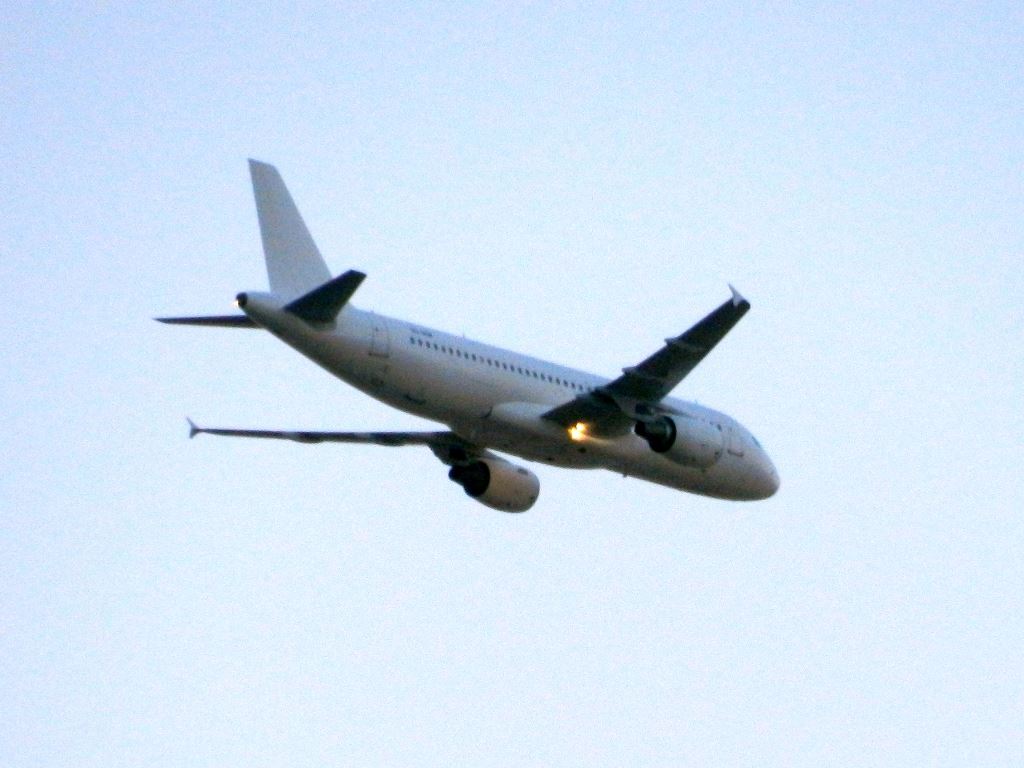 DSCN6839zoom.JPG