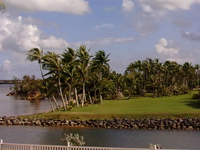 Guam Hotel View