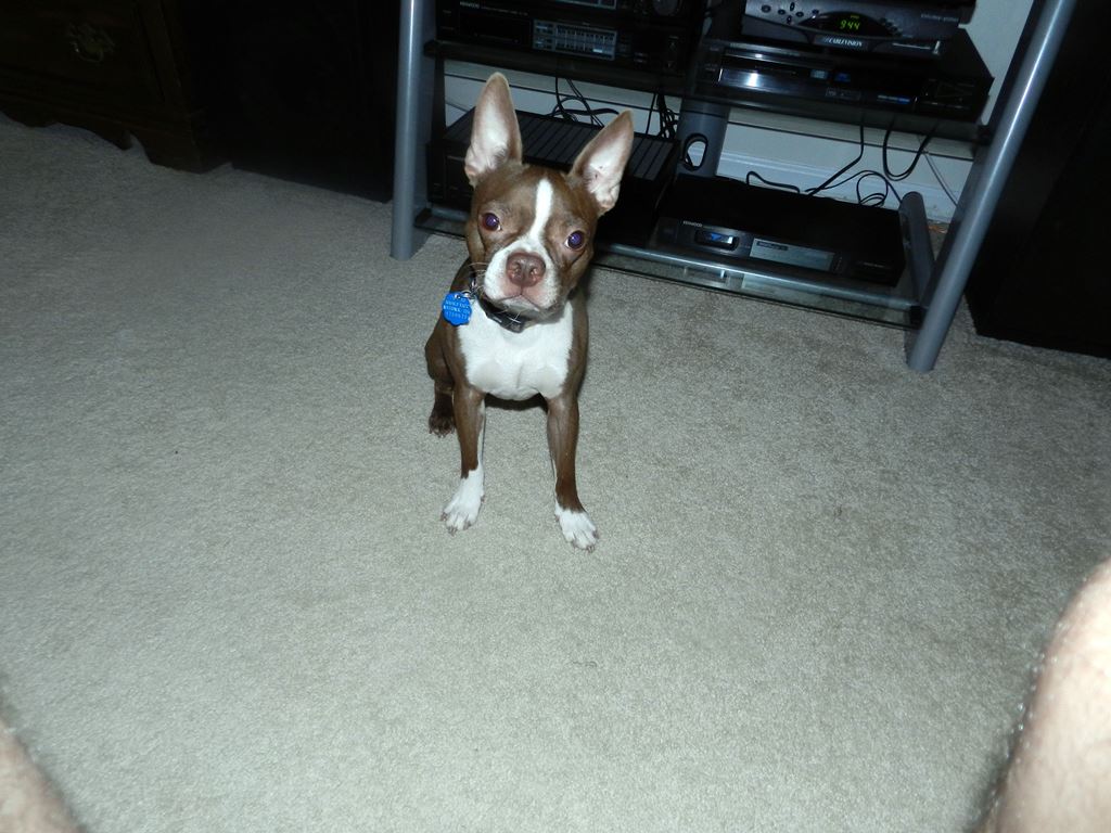 DSCN2887.JPG