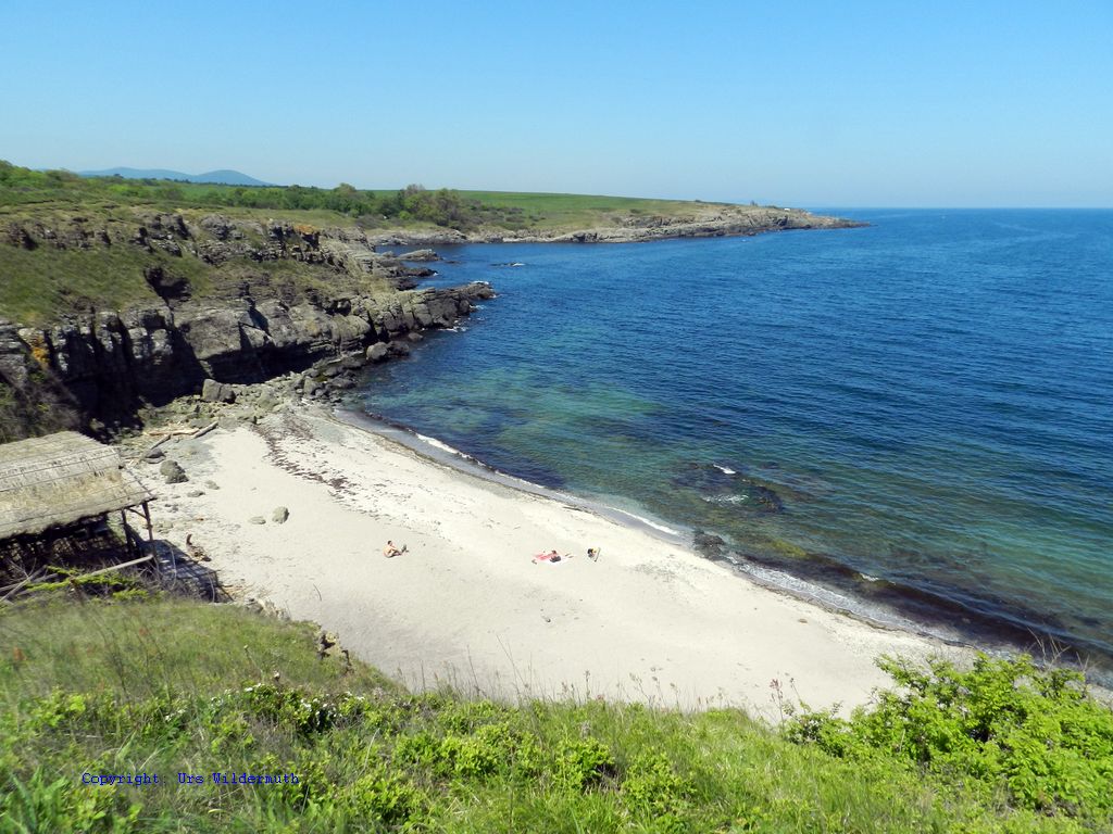 Beach1.jpg